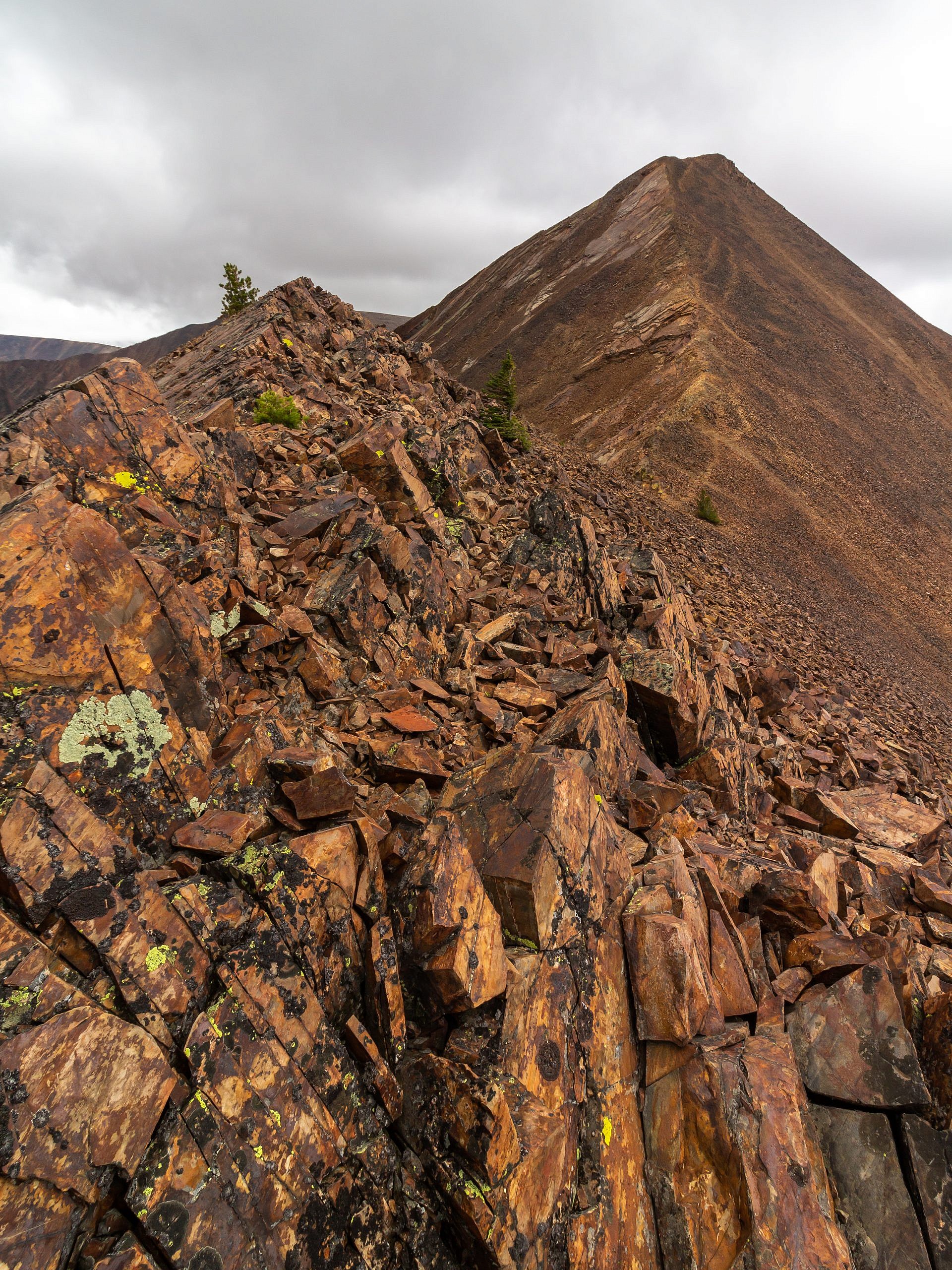 Table Mountain | Nature's Course - Inspire . Prepare . Preserve