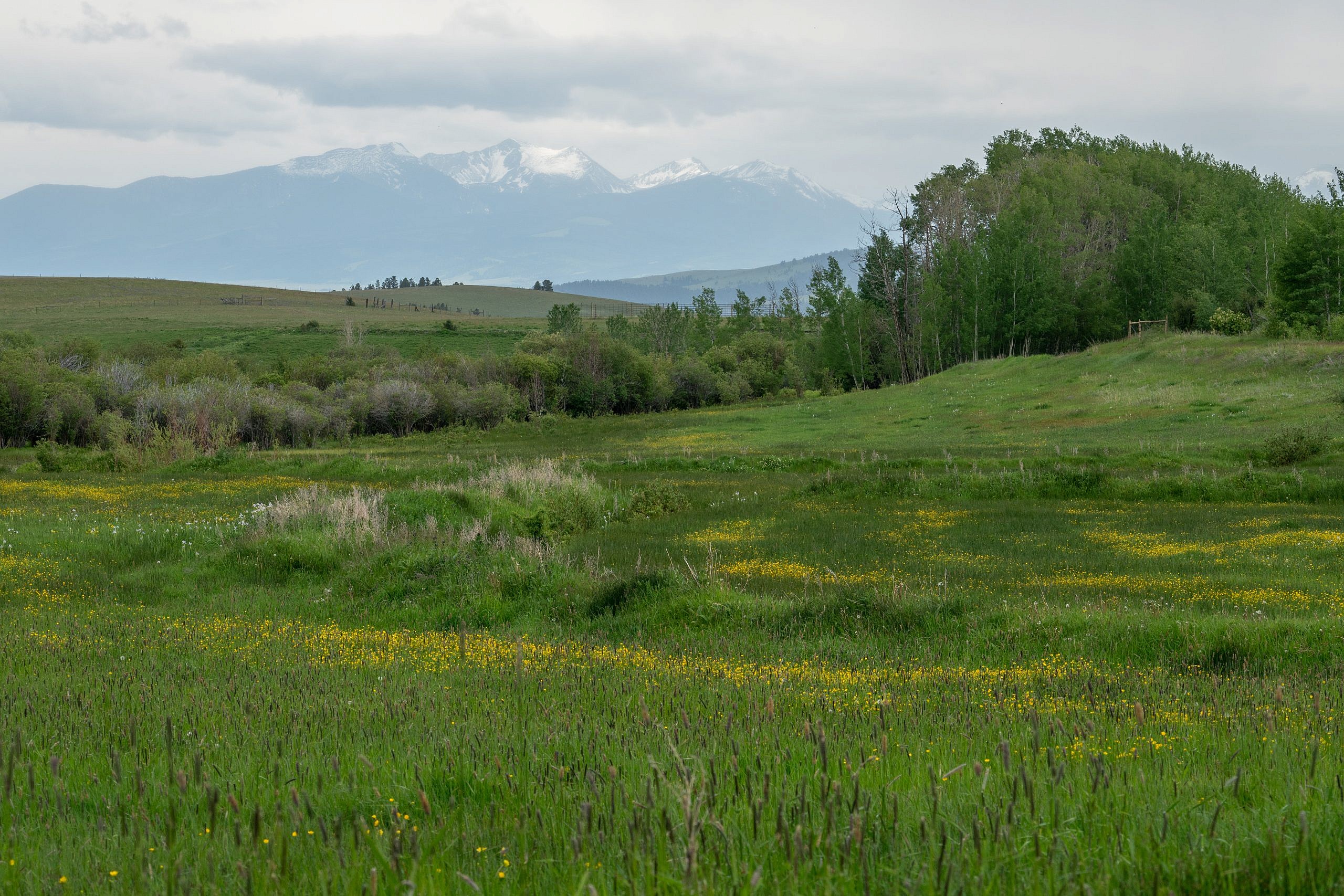 Black Mountain | Nature's Course - Inspire . Prepare . Preserve